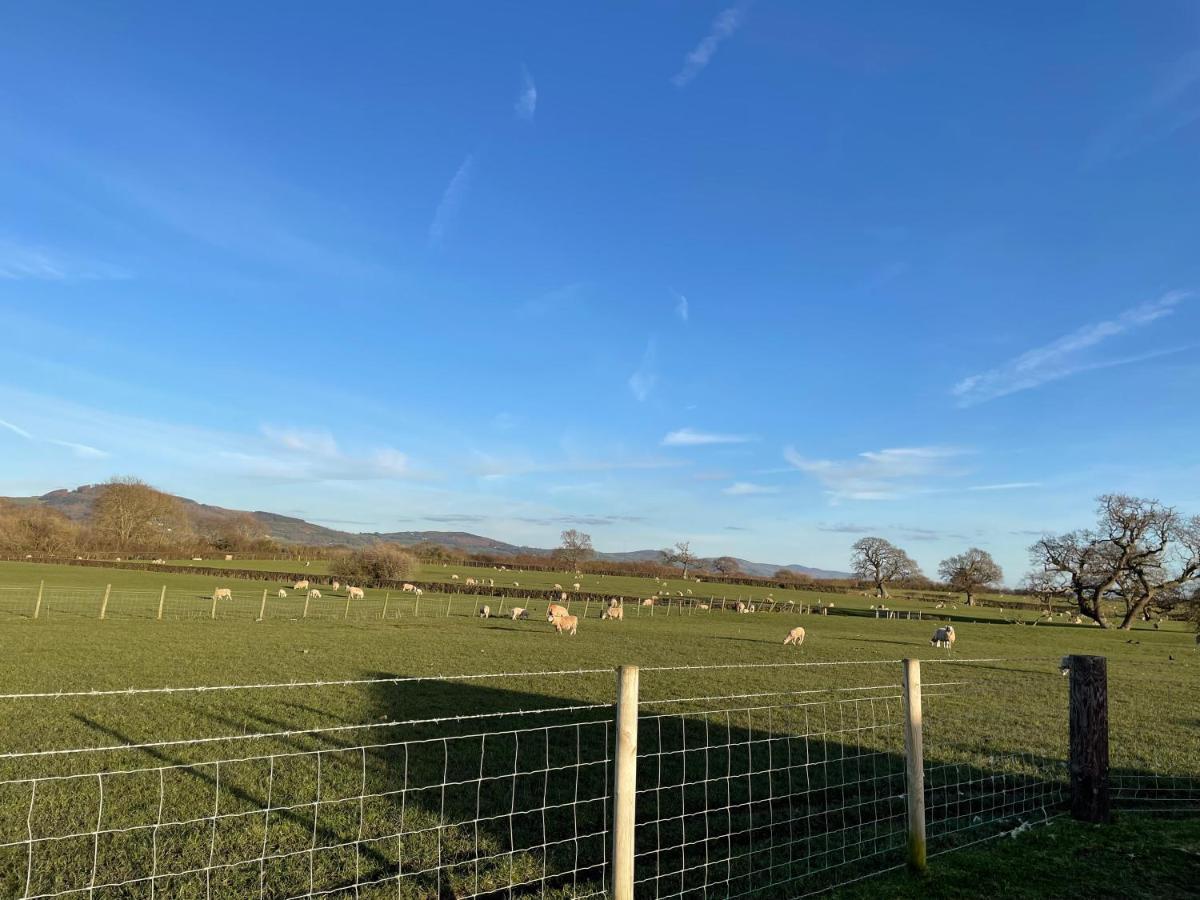 Готель Abbey Farm Luxury Glamping Rhuddlan Екстер'єр фото
