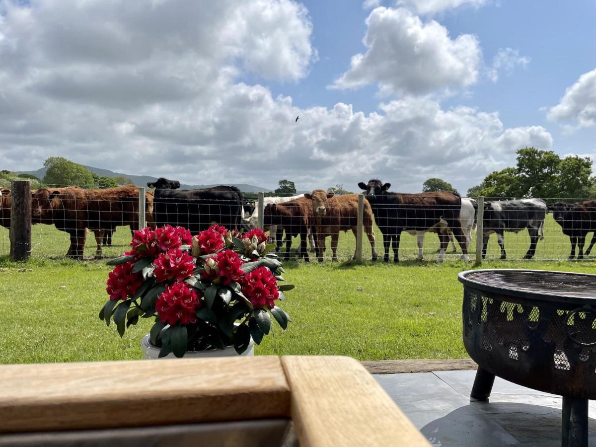Готель Abbey Farm Luxury Glamping Rhuddlan Екстер'єр фото